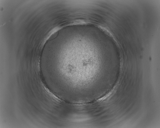 X0000065981409200603101411