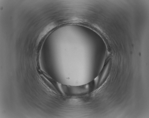 X0000065981410200603101411