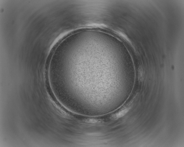 X0000065981412200603101411