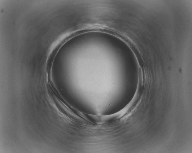 X0000065981414200603101411