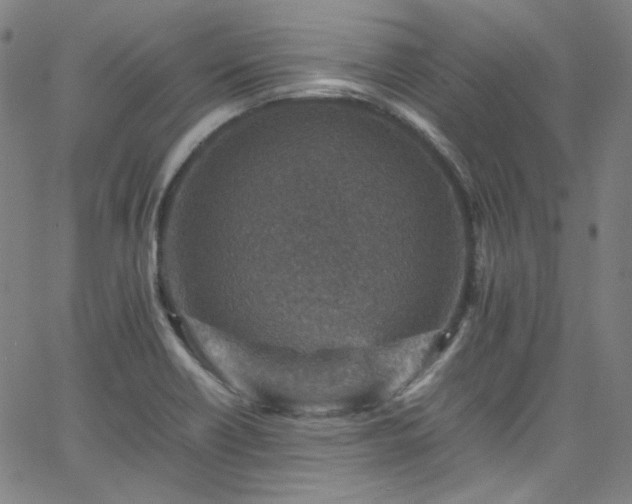 X0000065981418200603101411