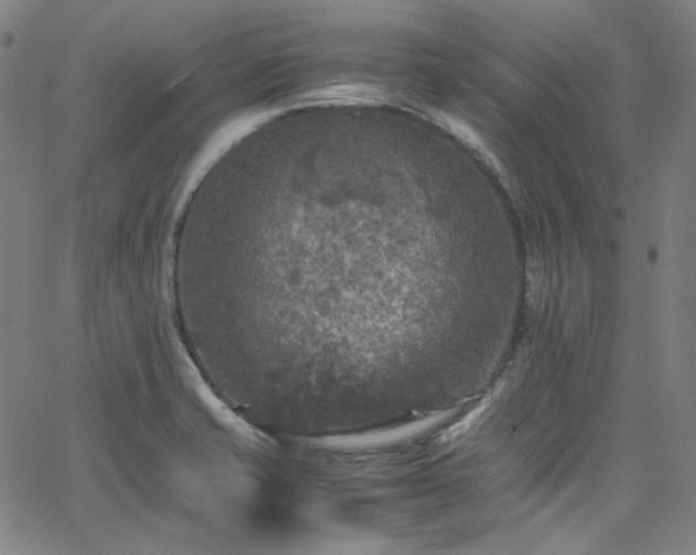 X0000065981421200603101411