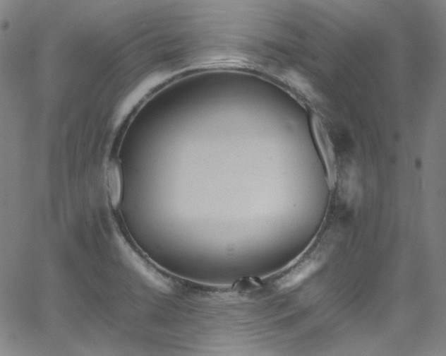 X0000065981422200603101411