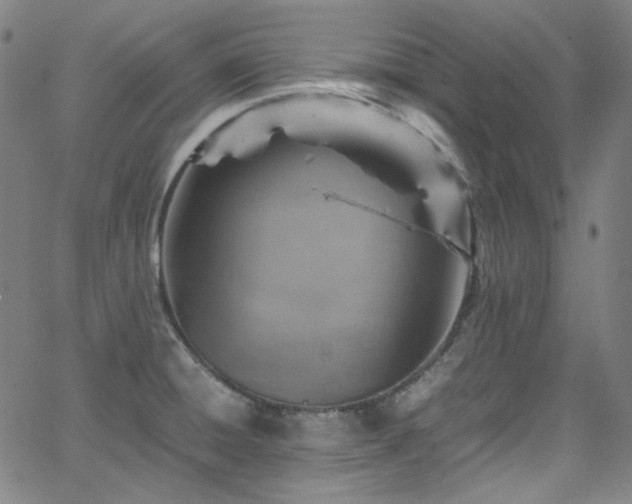 X0000065981428200603101411