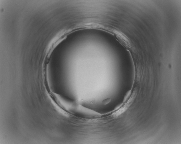 X0000065981430200603101411