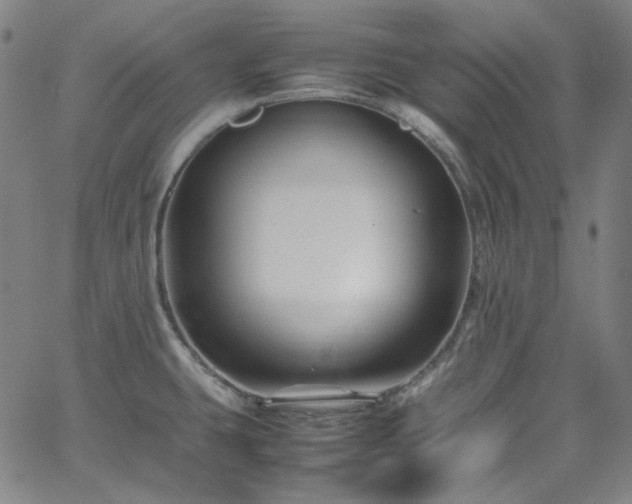 X0000065981431200603101411