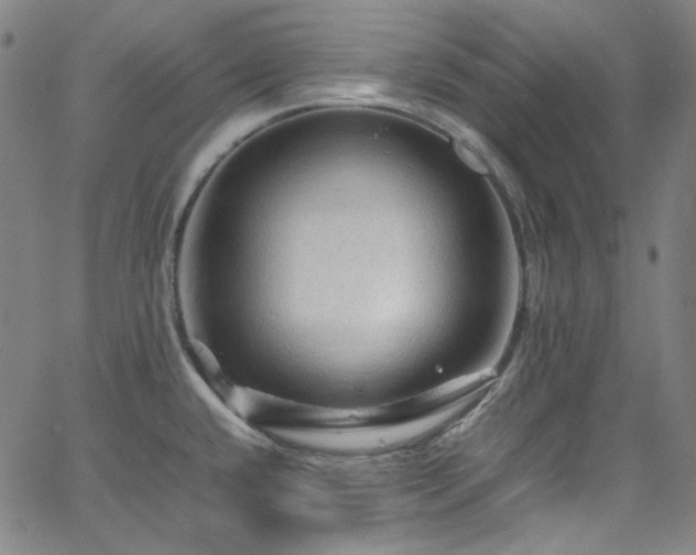 X0000065981432200603101411