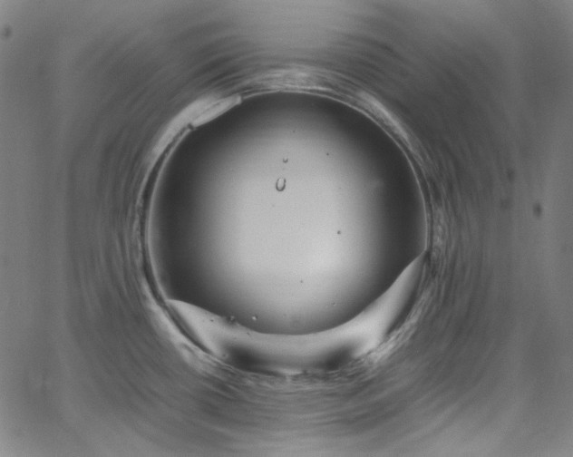 X0000065981434200603101411