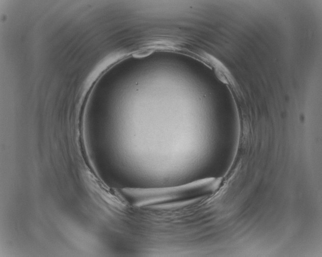 X0000065981435200603101411