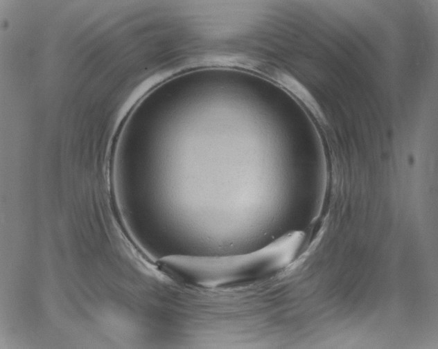 X0000065981436200603101411