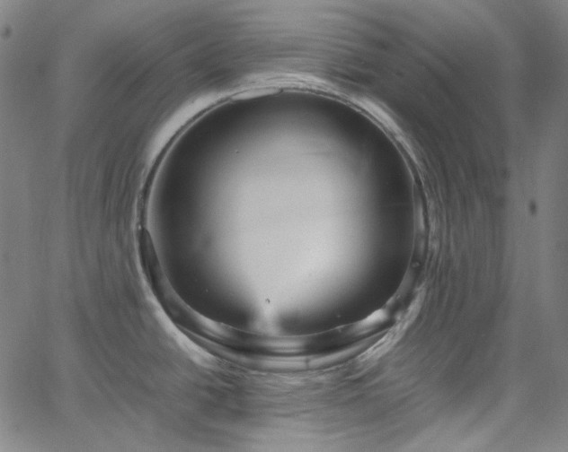 X0000065981438200603101411