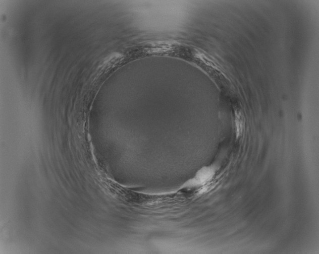 X0000065981441200603101410