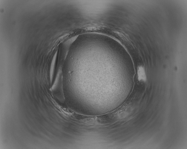 X0000065981444200603101410