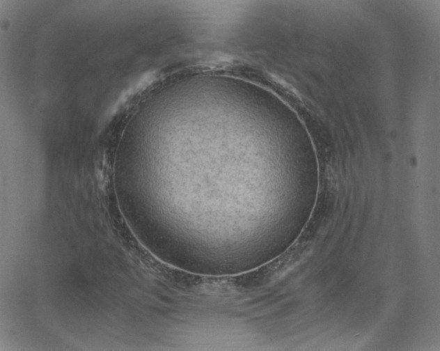 X0000065981447200603101410