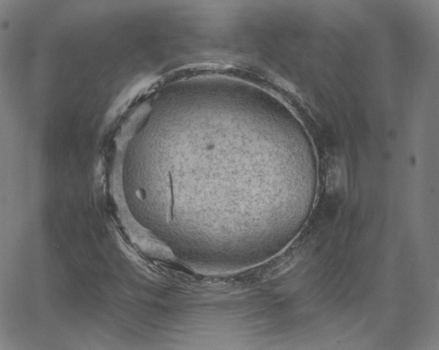 X0000065981448200603101410