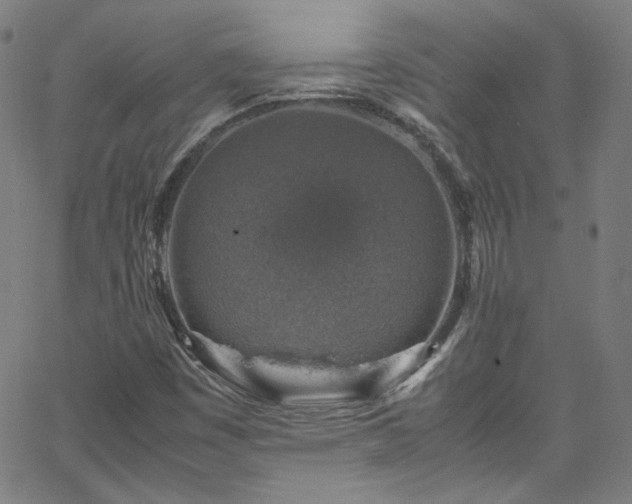 X0000065981449200603101410