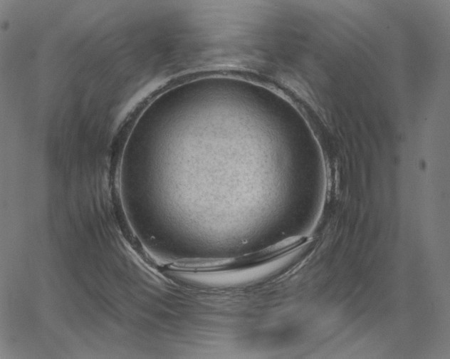 X0000065981452200603101410