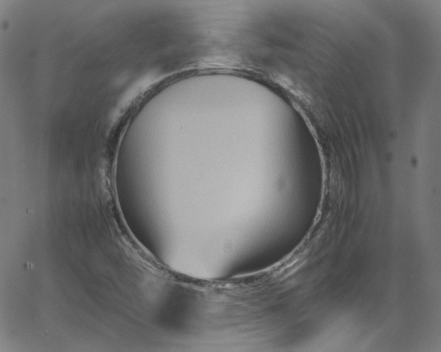 X0000065981454200603101410