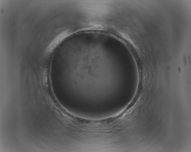 X0000065981455200603101410