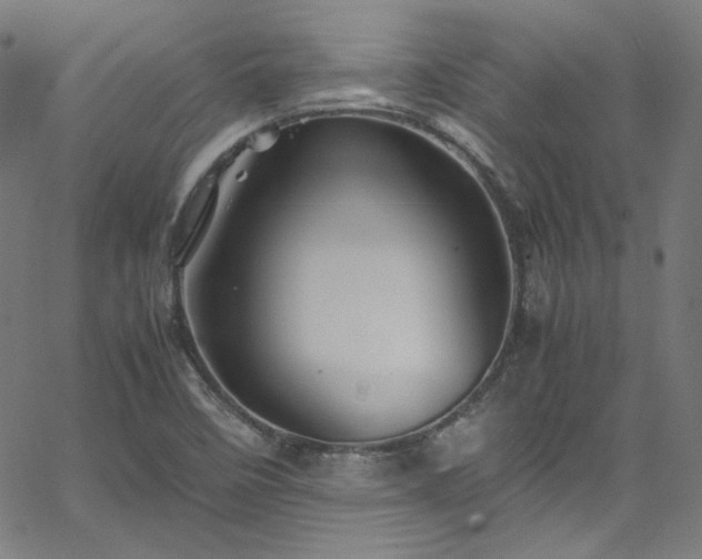 X0000065981458200603101410