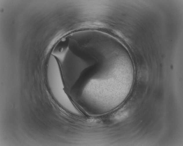 X0000065981459200603101410