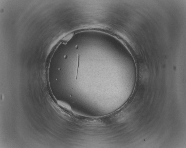 X0000065981460200603101410