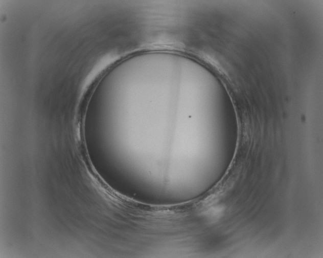 X0000065981462200603101410