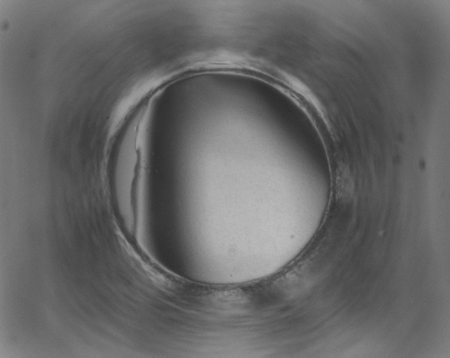 X0000065981464200603101410