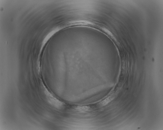 X0000065981466200603101410