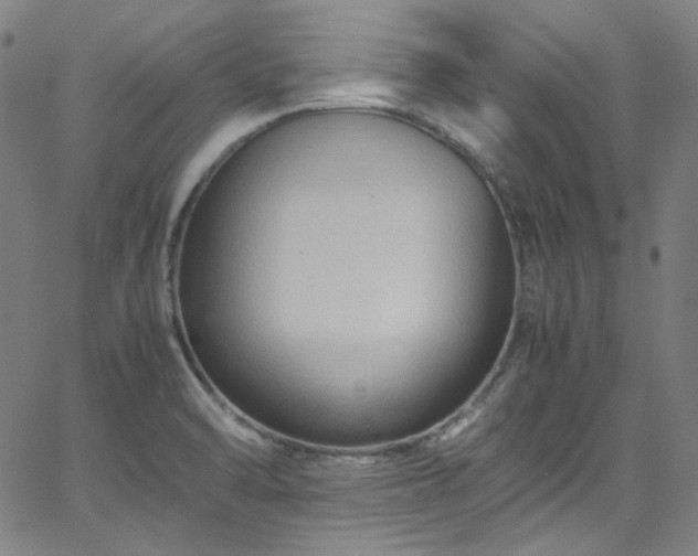 X0000065981470200603101410