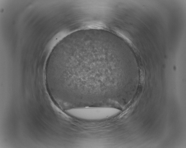 X0000065981471200603101410