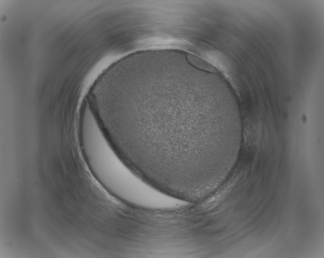 X0000065981472200603101410