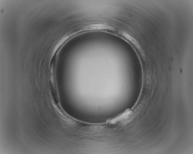 X0000065981473200603101410