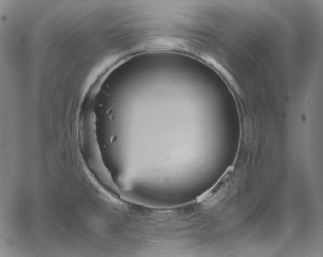 X0000065981477200603101410