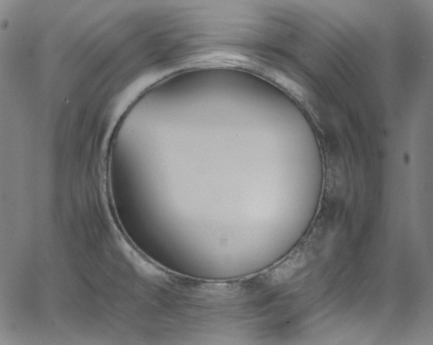 X0000065981478200603101410