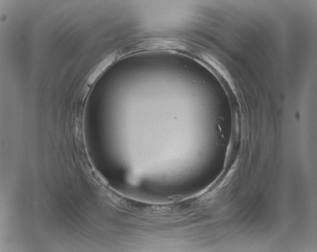 X0000065981481200603101410