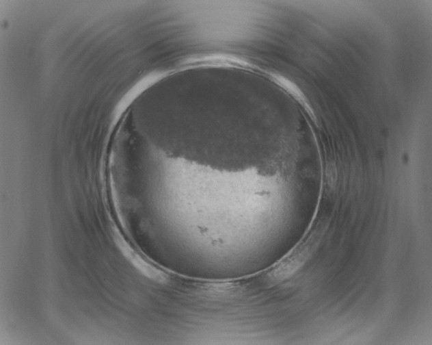 X0000065981482200603101410