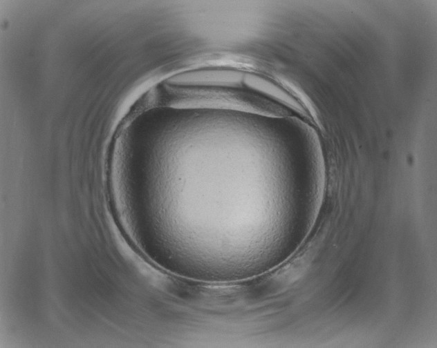 X0000065981483200603101410