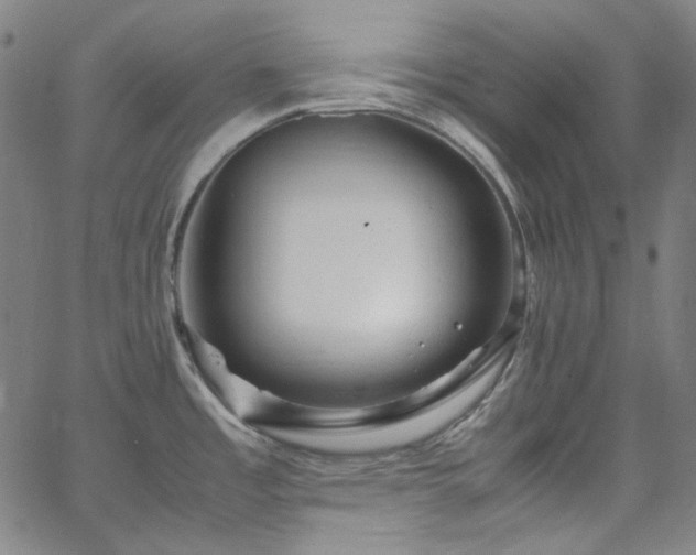 X0000065981485200603101410