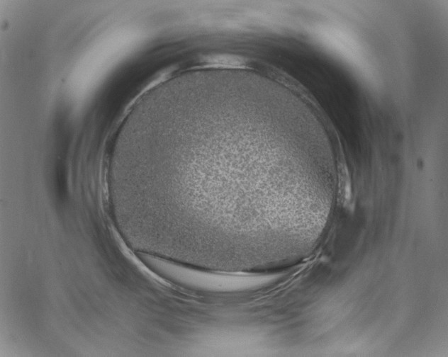 X0000065981487200603101410