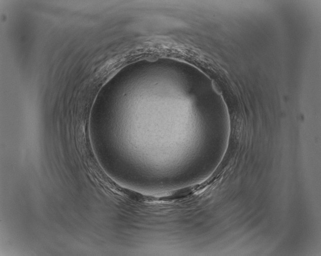 X0000065981489200603101409