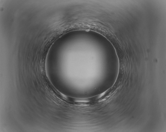 X0000065981490200603101409