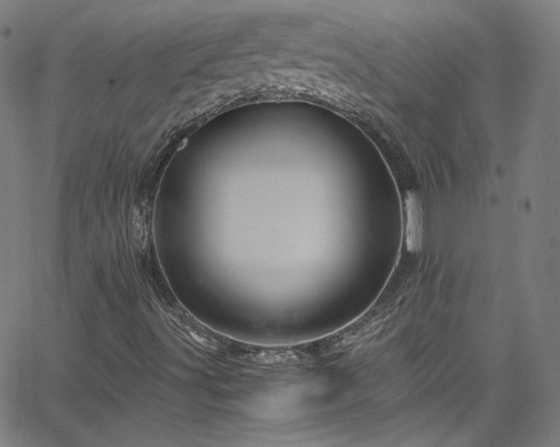 X0000065981491200603101409