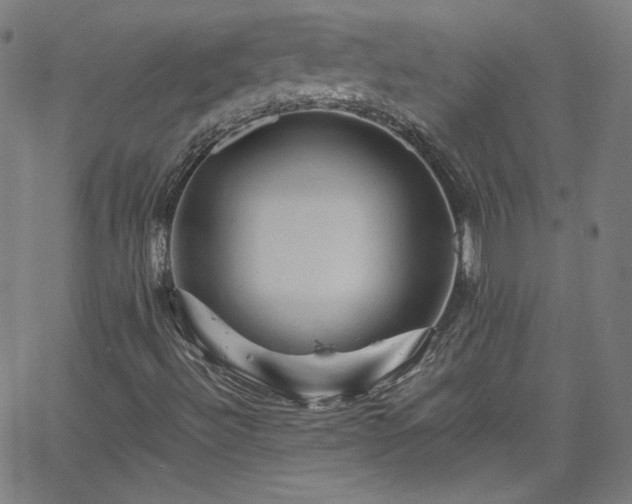 X0000065981492200603101409