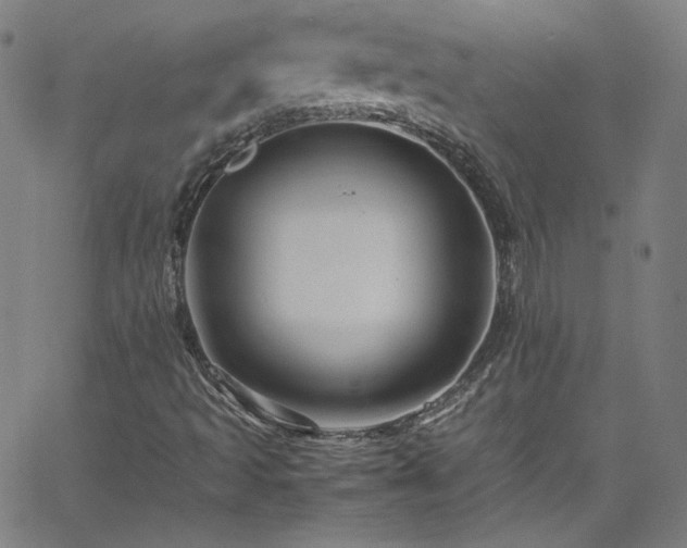 X0000065981493200603101409