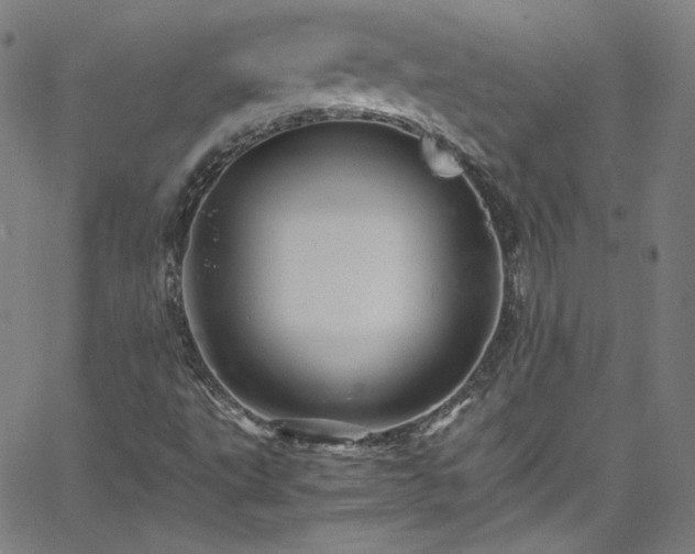 X0000065981495200603101409