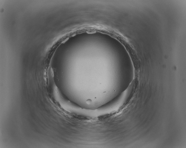 X0000065981496200603101409