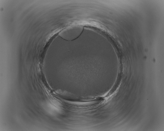 X0000065981497200603101409