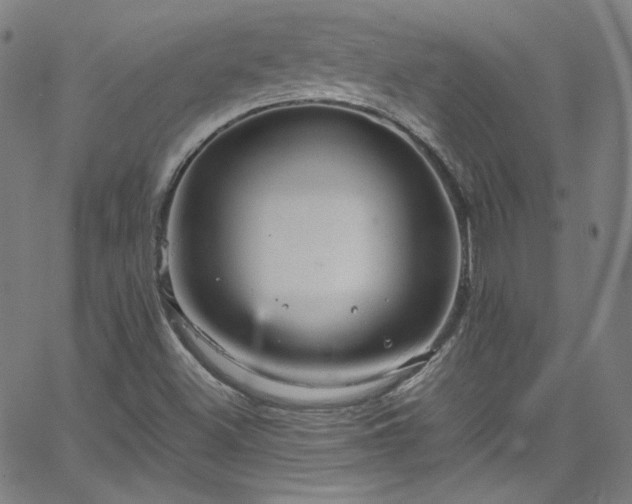 X0000065981500200603101409