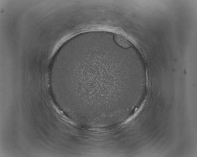 X0000065981501200603101409